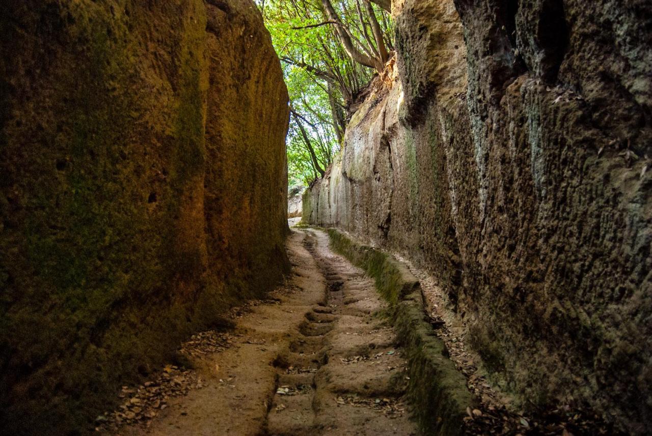 La Toscana In Casa Villa Sorano  Bagian luar foto
